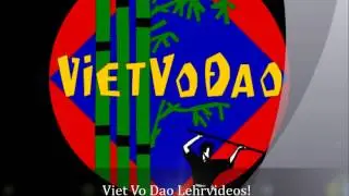 Teaser Lehrvideos auf www.viet-vo-dao.de