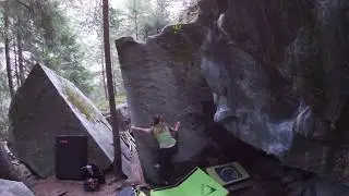 Moos Kante, 5b. Magic Wood