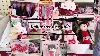 Dollar tree new finds,new valentine gift 