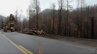 Controversy brewing over wildfire tree removal