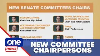 Senate elects new committee chairpersons