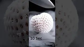 🤍🍓 White Strawberry vs Liquid Nitrogen ❄️ | Satisfying Science ASMR (AI) #ai #fyp #viral #reels