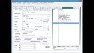 WaWi-Profi 3.x, Artikelstamm, manueller Bestandszugang
