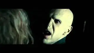 Harry Potter & the Deathly Hallows Part 1: Voldemort and Olivander Scene II