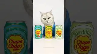 Flame trick with Plastic Cup 🙀🤣 Popular hacks #cuddleclawshow #catchef #hacks #cats