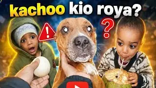 Kachoo kio roo pda aj ! Kachoo ne bike bhe chaye aj #youtubeshorts #vlog #family 