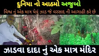 દુનિયા નો આઠમો અજુબો ઝાડવા દાદા નું એક માત્ર મંદિર||Zadava Dada||#Ravana