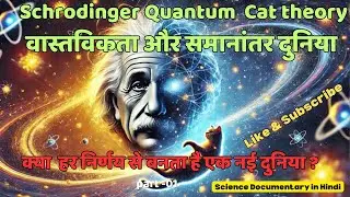 Schrodinger Quantum  Cat story and philosophy #universe #quantumphysics #facts #science #quantum