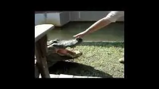 This is weird - Do not try this!