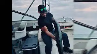 Kenosha Salmon Fishing