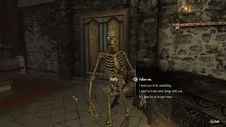 Skelly Skeleton Follower for Skyrim Special Edition (Light Mod)