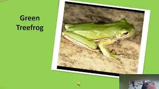 Frog Identification - Part 1