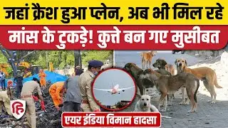 Ahmedabad Plane Crash: शवों के अवशेष ढूंढ रही टीम के लिए आवारा कुत्ते बने मुसीबत। Sumit Sabharwal