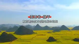 ◎中国雲南省の世界一の棚田　　◎中国雲南省の菜の花畑