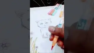 Just a cute kitty on a paper😺
