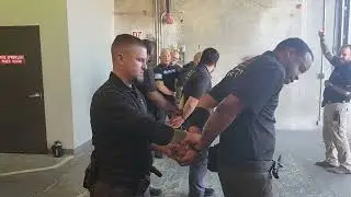 pain compliance
