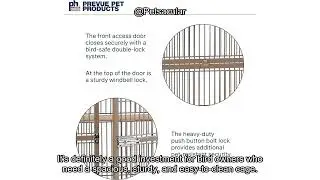 Prevue Pet Products Wrought Iron Bird Cage Review: Is It Worth the Investment for Your Pet?