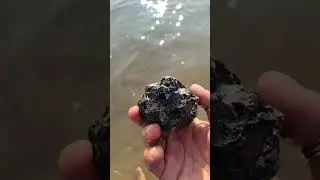 live from juhu beach mumbai