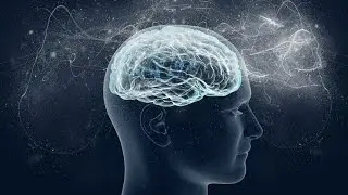 Best Memory and Brain Booster Supplements - Nerium EHT