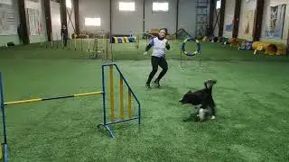 BC Fest, Jumping, 25/12/22