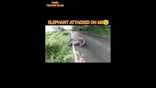 Elephant Attacked On Me 😮 #shorts #motovlog #bikeride #ktm #bike #rider #bike