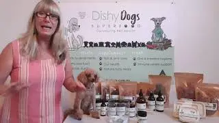 Dishy Dogs December Photo Competition Winner