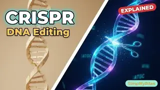 What is CRISPR? DNA Editing and Genetic Engineering Explained