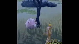 Pok&eacute;mon Eating Floating Berries? #pokemon #pokemonscarletandviolet #glitch #pokemonglitch #chansey