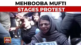 Phase 6 Voting: PDP Chief Mehbooba Mufti Protests, Alleges That PDP Workers Were Stopped From Voting