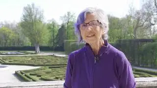 La Zelcova, prezioso albero nel Giardino storico della Reggia