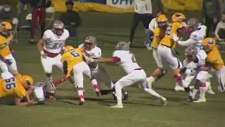 Palmetto vs Wren