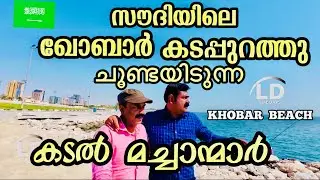 ഖോബാർ ബീച്ചിലെ മീൻപിടുത്തം | Fishing at Khobar Beach|#shortsvideo #youtubefeed #like l#malayalamvlog