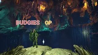 BUDGIES OP Shadow cave and North ice base tours