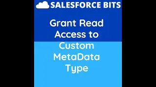 How to give Read access to Custom Metadata Types