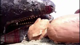 Cortometraje Poema 