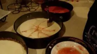 Gypsy Girls Makein cheese Cakes and rainbow cake