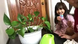 How i replant my golden pothos_my own easy way_bonding time with my granddaughter