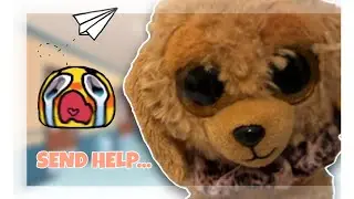 First day of School gone WRONG | beaniesunny 🌸
