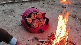 Cats warming themselves by the fire in the winter season