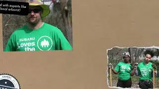 2024 Earth Day Celebration | Tree Planting in the Microforest