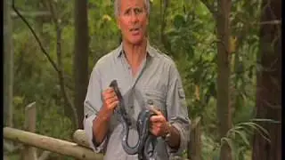 Jack Hanna Public Service Announcement for GROW Wildlife Hospital of Georgia Project