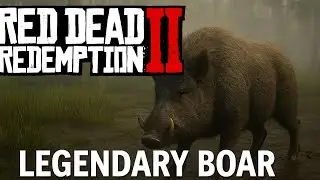 Red Dead Redemption 2 &ndash; Legendary Boar Hunt | Location & Hunt Gameplay