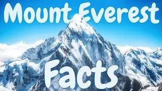 10 SECRET FACTS ABOUT MOUNT EVEREST (MOUNTAIN) | #mounteverest #facts | @fg