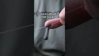 TRY THIS! Fishing the touch ledger for chub #chubfishing #fishingtips #chub #fishing #pellets #river