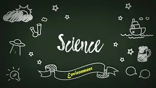 ESL Science Lesson 7 Environment