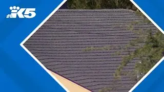 Why PNW officials are being pushed to embrace 'cool roofs'