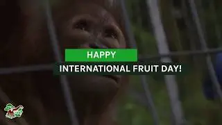 International Fruit Day!