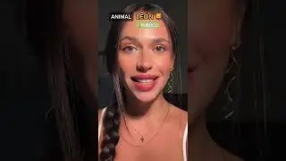 #pov a todos se os asigna un animal (PT2)