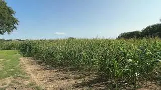 How to navigate using crops