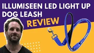 Illumiseen LED Light Up Dog Leash Unboxing and Review